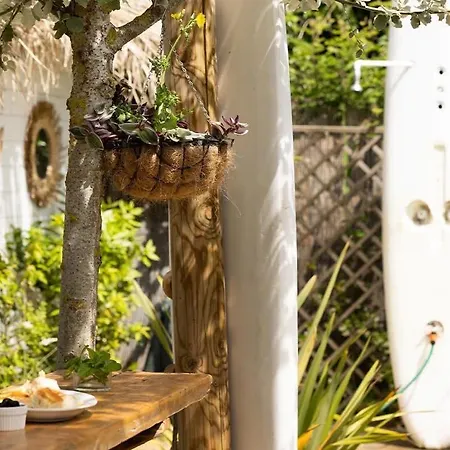 אתר קמפינג Dante Mobile Homes In Classe Village *