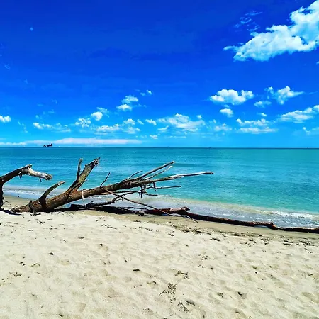 Dante Mobile Homes In Classe Village Parque de Campismo