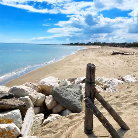 אתר קמפינג Dante Mobile Homes In Classe Village